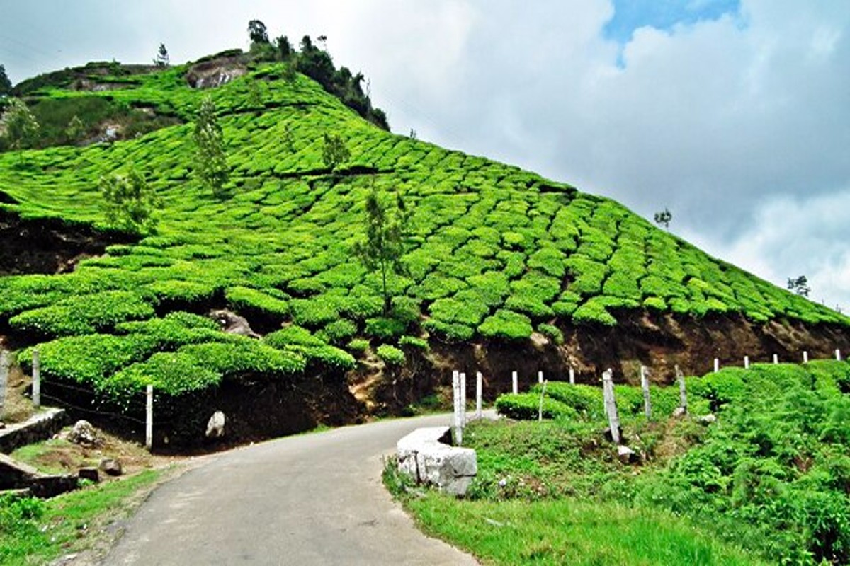 10 Must Visit Places In Munnar Food And Travel Utsav