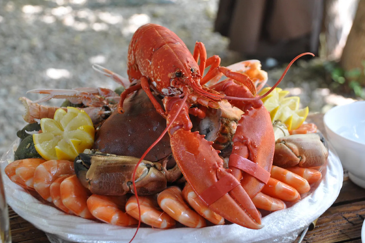 Read more about the article A Taste of the Outback: Exploring the Traditional Food of Australia