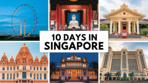 Read more about the article How to Plan the Perfect 10 Days in Singapore: A Detailed Itinerary