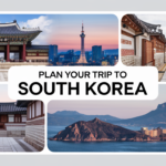 How to Plan a Perfect Trip to South Korea: Your Ultimate Travel Guide