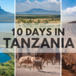 How to Plan the Perfect 10 Days in Tanzania: A Detailed Itinerary